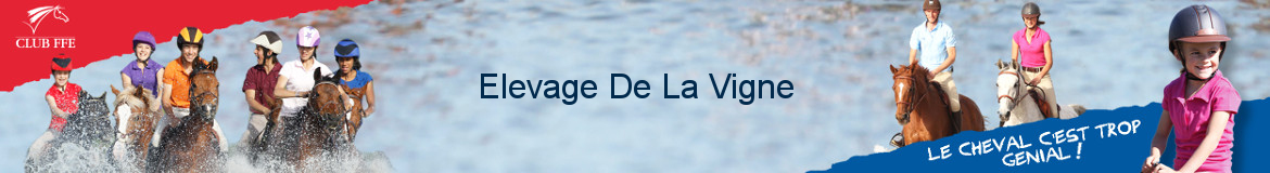 Elevage De La Vigne